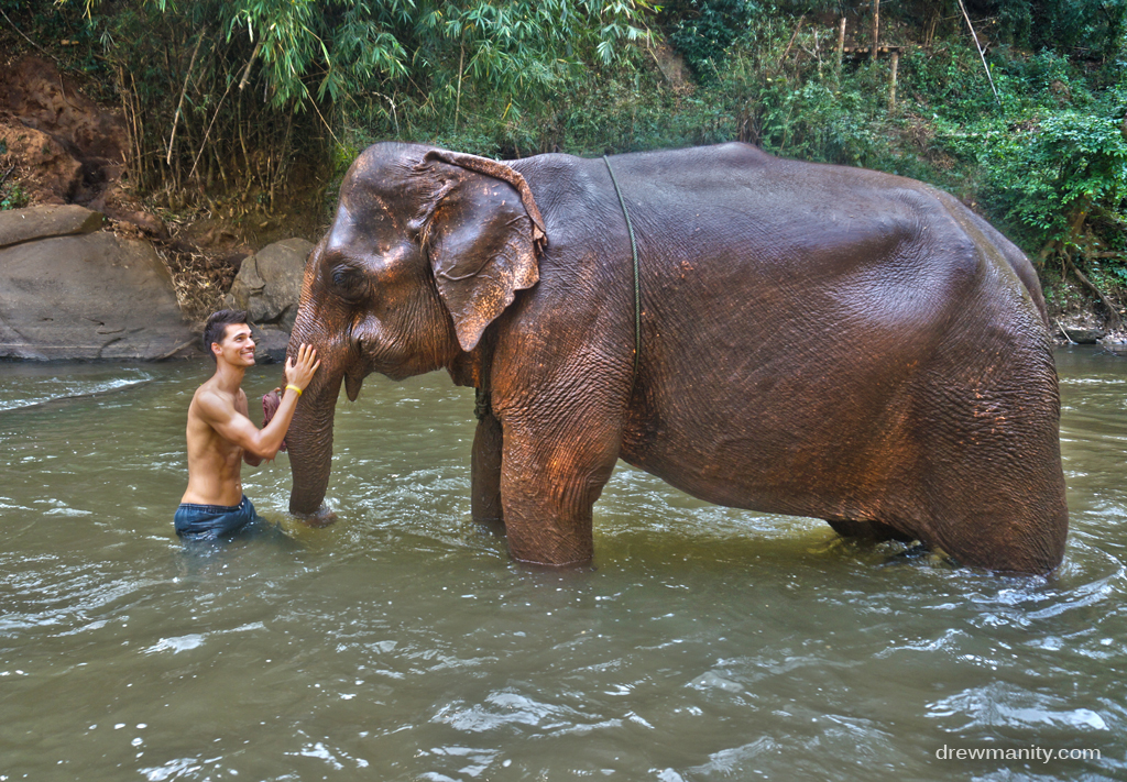 elephant bathing 