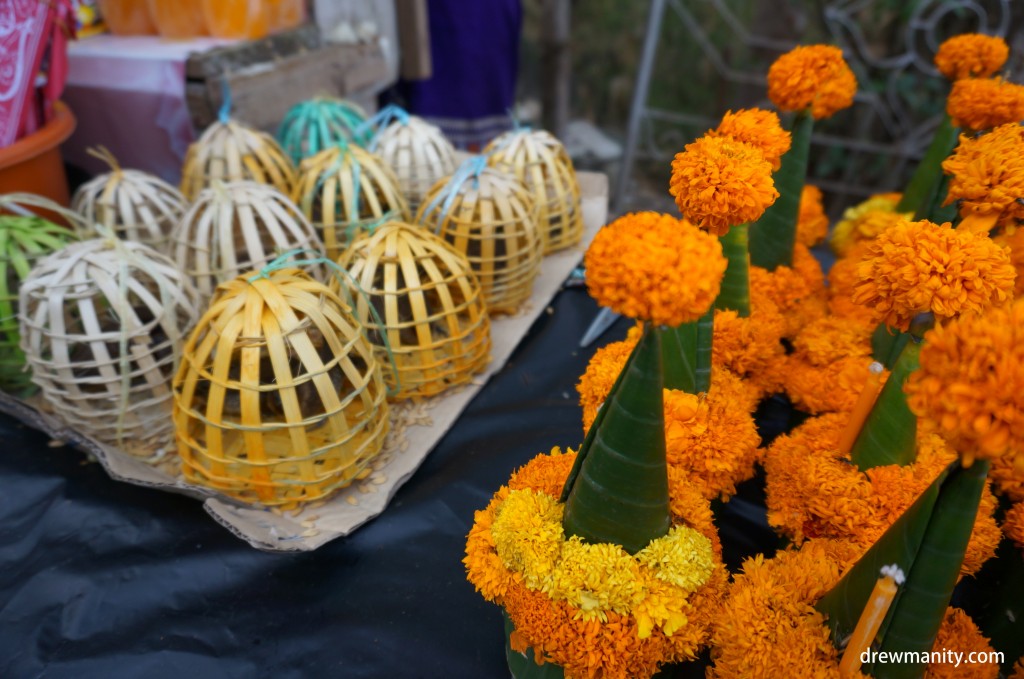 lao-new-year-festival-flower-bird-cage-traditional-luang-prabang-laos-drewmanity.com